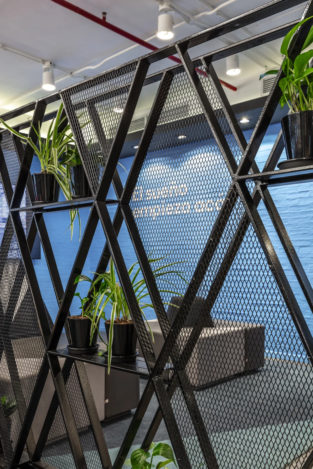 Kavak Hub — foto 19