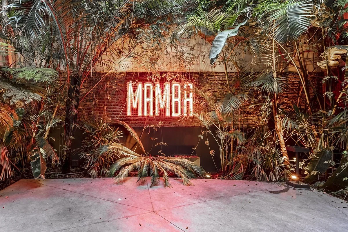 Mamba — foto 2