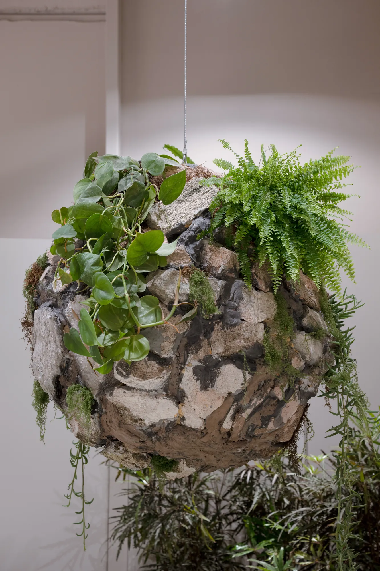 osten-foa — foto 35
