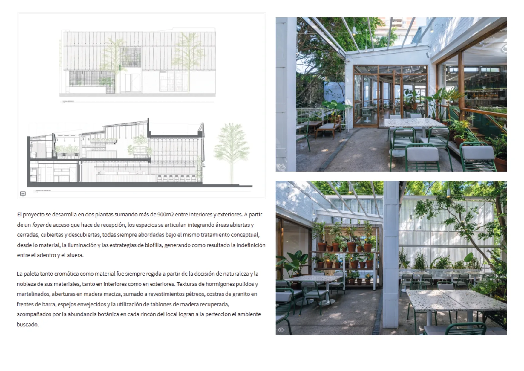 Aire Libre — image 4