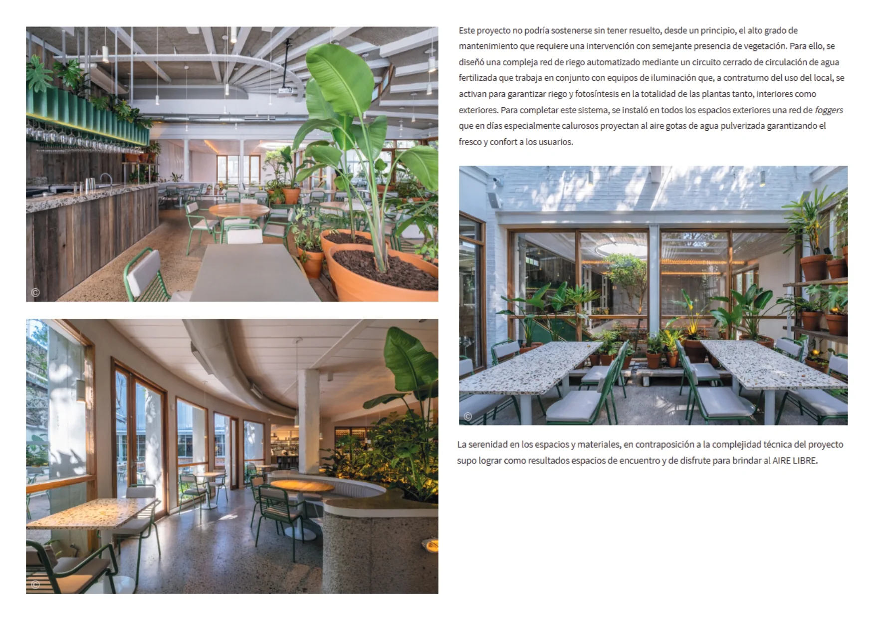 Aire Libre — image 5