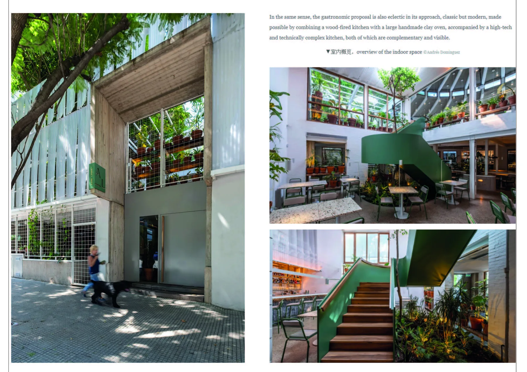 Aire Libre — imagen 3