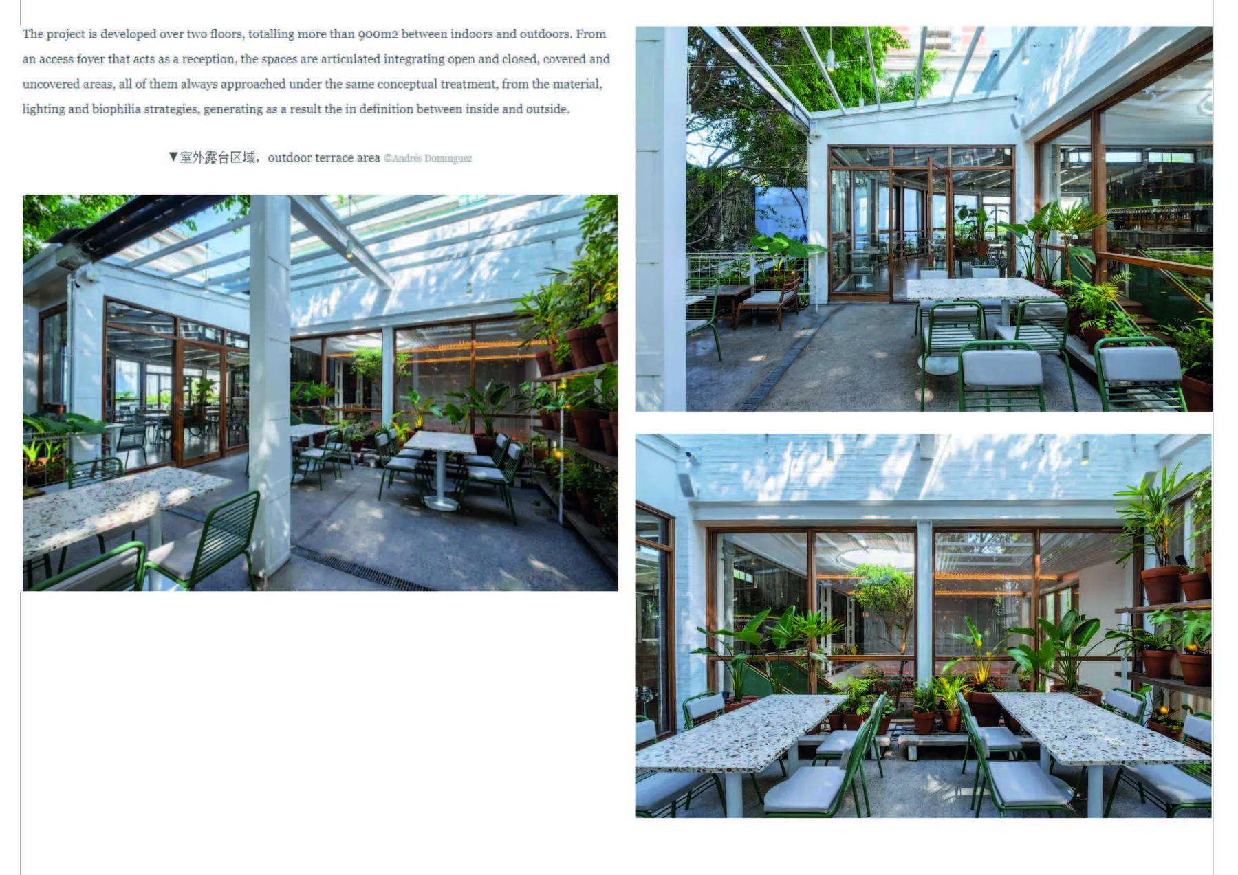 Aire Libre — imagen 4