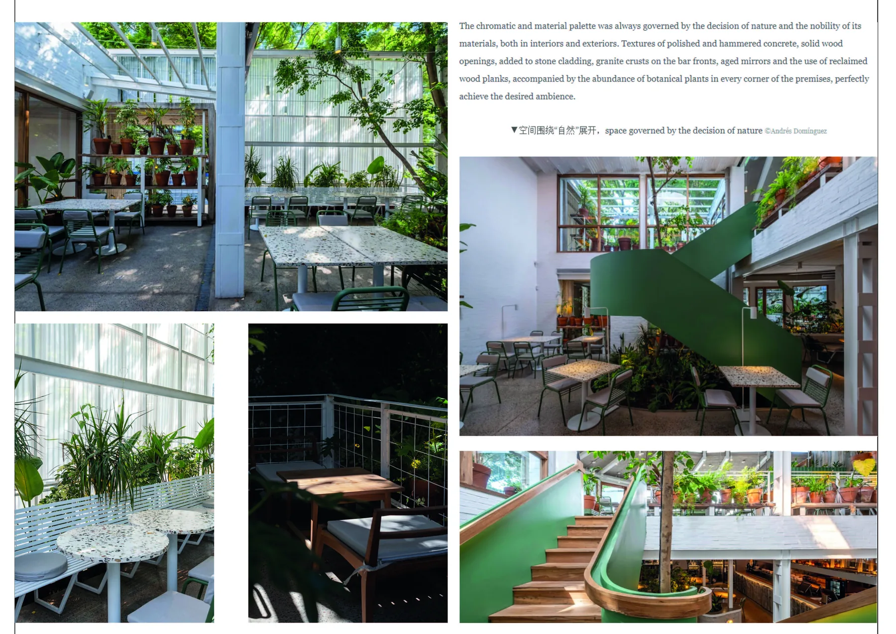 Aire Libre — imagen 5