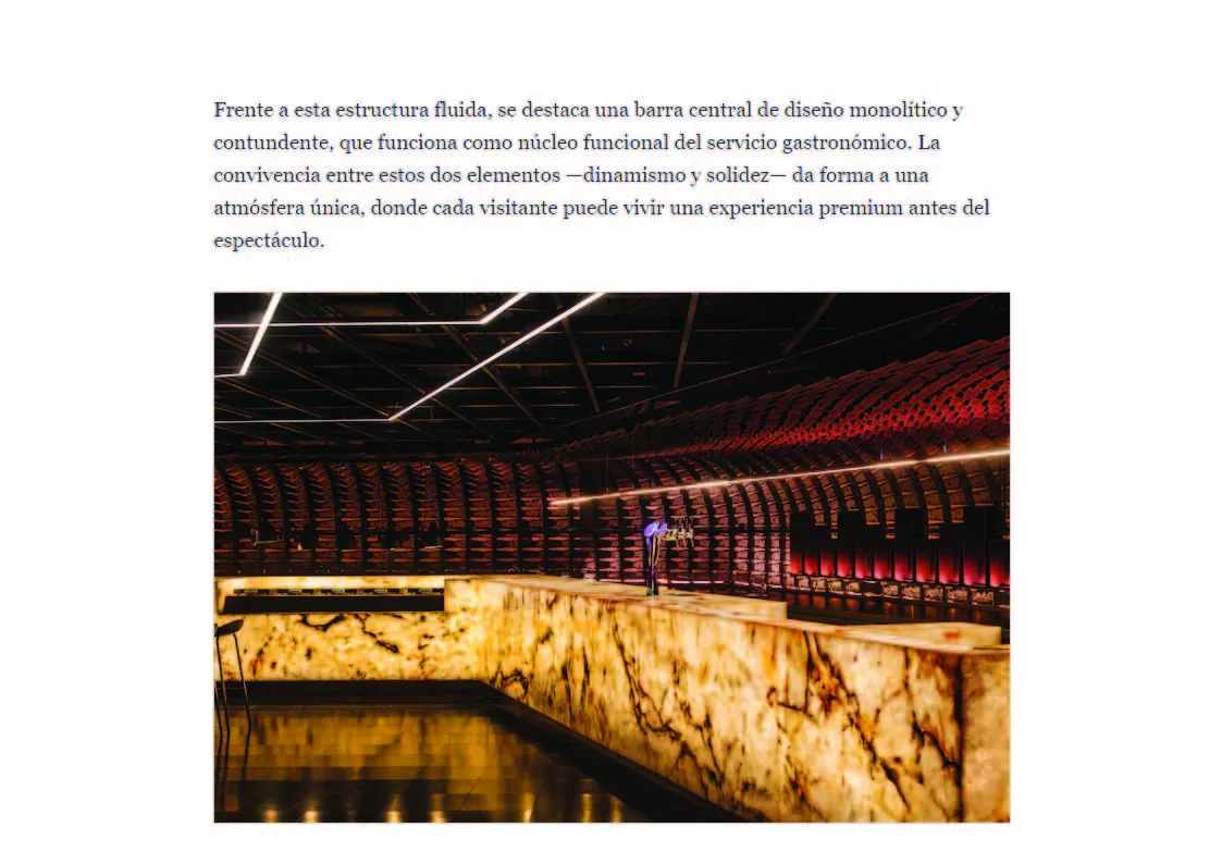 Movistar Arena VIP Lounges — image 4