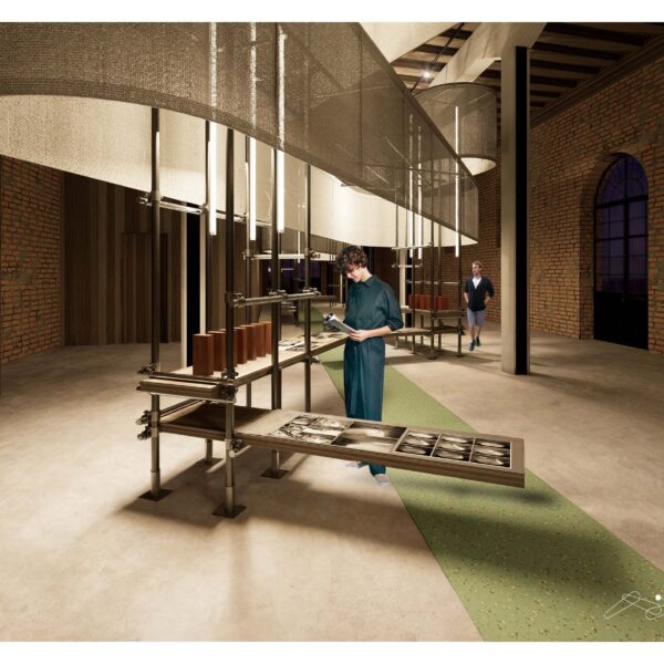 Presentacion_Página_13